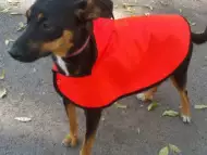 Дрехи за кучета - дъждобран - перелина