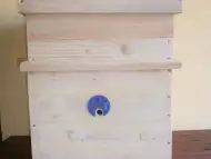 Нуклеус - кошер за пчели
