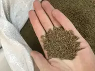 Люцерново семе семена люцерна 2017г реколта