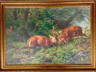 Биещи се елени в гора, картина за ловци
