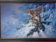 Барс, снежен леопард, картина