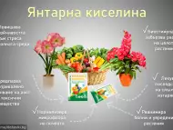 100 Янтарна Киселина на прах за цветя козметика (без никакв