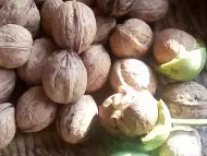 Орехи и ядки