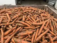 Морков Търговско или индустриално качество