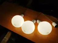 LED лампи филаментни, опал G125 VIVALUX 3бр с фасунги