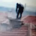 Vladimir