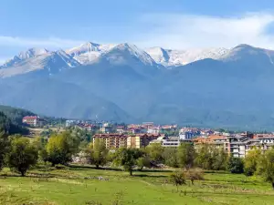 Каква е процедурата за смяна на статут на земя?