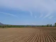 Купувам земеделски земи в община Кнежа