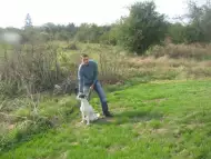 Разходки на кучета