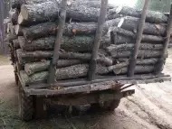 Предлагам дърва за огрев