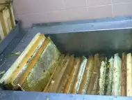 чист пчелен мед