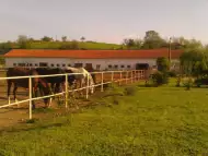 Продава животновъдна ферма УПИ 33600м2