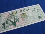 Амазония 1 ара 2005 г