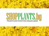 Шоп Плантс - разнообразие от красиви растения
