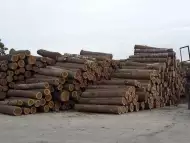 Купувам дървени трупи и гори
