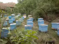 Продавам екологично чист билков пчелен мед