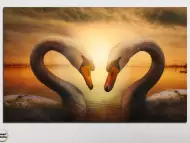 Картина пано за стена от 1 част - Сърце от лебеди - HD - 725 - 1