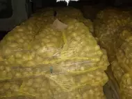 Картофи на едро - реколта 2017.