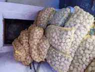 Смолянски картоф сорт сурая за сеене