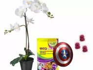 Фитоцид - Р - препарат за защита и подхранване на растения