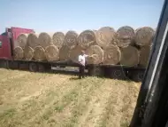 Продавам сено на рулонни бали регион Пазарджик