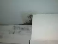 Откриване на теч от горен етаж. Течове между етажите в София
