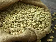 Зелено и прясно изпечено кафе на зърна сорт арабика от кафе