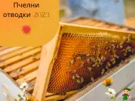 Продавам пчелни отводки 2023