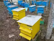 Продавам пчелни плодникови рамки