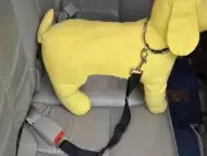 Seatbelt - обезопасителен колан за куче при превоз с кола