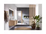 Stefan Hasyanov Bathroom design décor