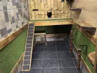 Хотел за котки