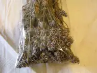 Билки и подправки от Стара планина