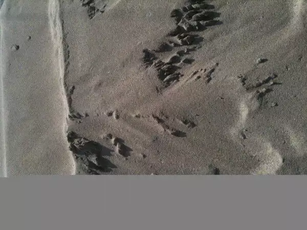 2. Снимка на Пясък, кварцов пясък, фин пясък