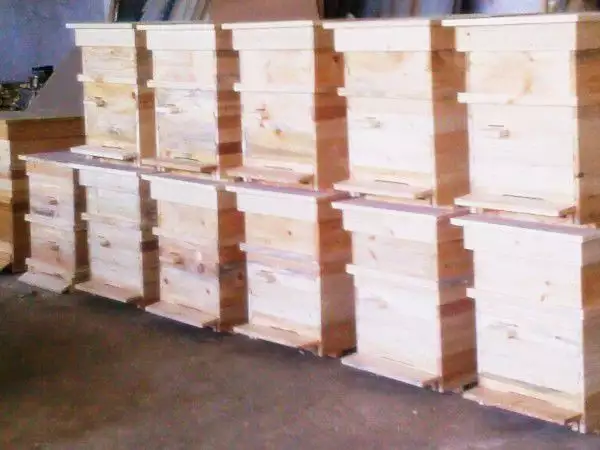 1. Снимка на Всички видове пчелни кошери и компоненти на изгодни цени