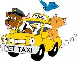 1. Снимка на Pet Taxi - Доставка и Транспорт на Домашни Любимци