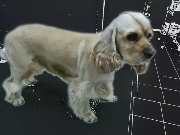 14. Снимка на Подстригване на кучета в Стара Загора