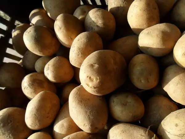 1. Снимка на Продавам семе за картофи