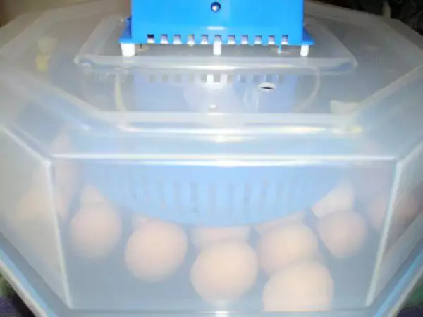 10. Снимка на Продавам нови инкубатори за люпене яйца, официален вносител.