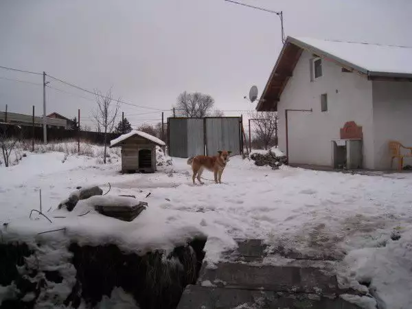 Собственик дава под наем склад - Волуяк