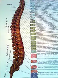 6. Снимка на Масаж против болки в гърба и кръста