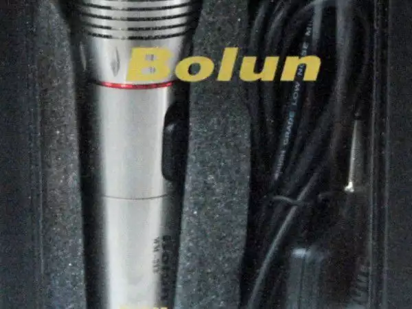 Безжичен микрофон BOLUN WM - 313