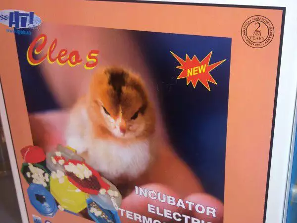Нови инкубатори Клео 5 за яйца. Директен вносител, гаранция