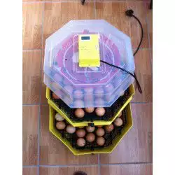 Нови инкубатори Клео 5 за яйца. Директен вносител, гаранция