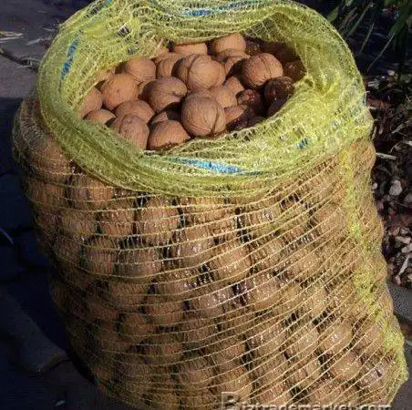 6. Снимка на Плетени чували тип гаци