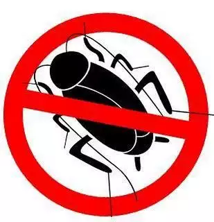 1. Снимка на Унищожава хлебарки, насекоми, бълхи, дървеници, оси, мишки