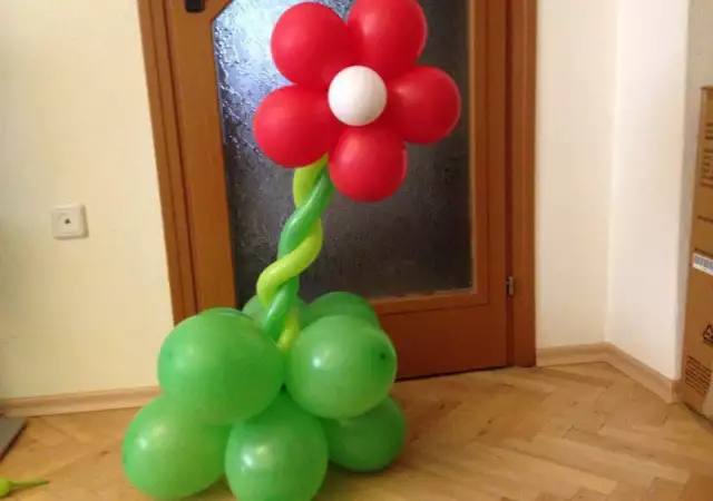4. Снимка на Украса от балони