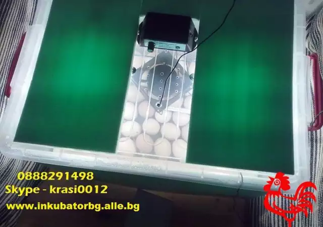 Инкубатори за люпене на яйца - автоматични и полуавтоматични
