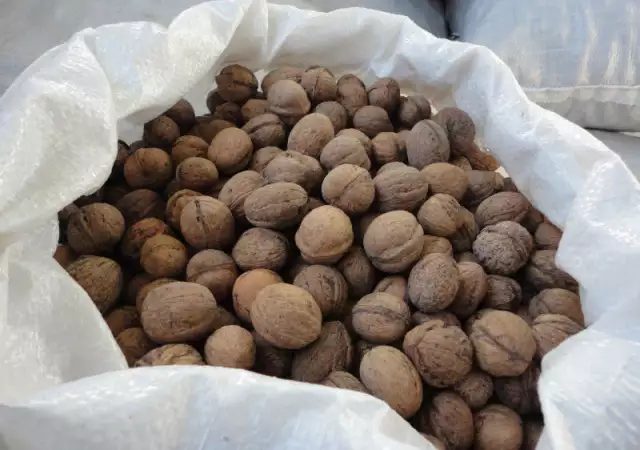 4. Снимка на Продавам орехи и орехови ядки