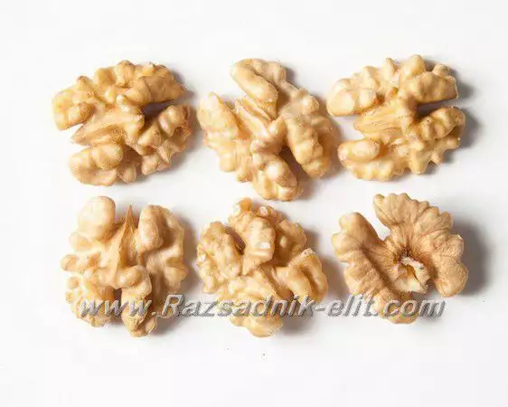 4. Снимка на Калифорнийски орехи сортове Чандлър, Педро, Франкет и др.